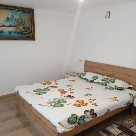 Holiday home De Inchiriat Glajerie *